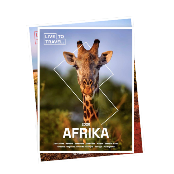 visual-brochures-live-to-travel-bib-december-2025