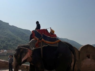 AMBER FORT