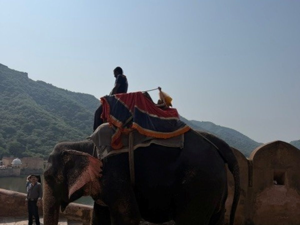 AMBER FORT