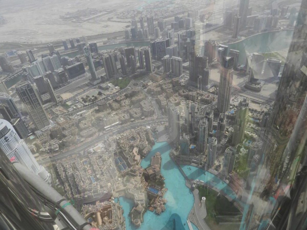 DSCN0768