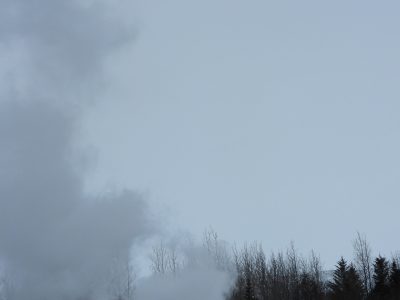 DSCN8015