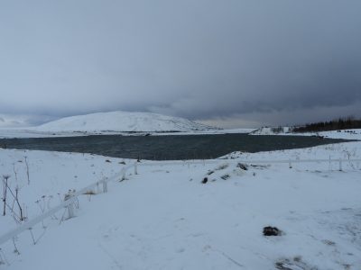 DSCN8075
