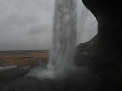 DSCN8113