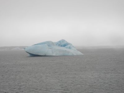 DSCN8221