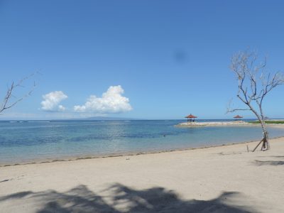 DSCN9588
