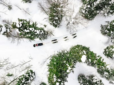 sky-view-villa-avonturenweek-huskys-natuur-1